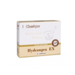 Hydrangea EX - uztura bagātinātājs, 30 kapsulas 