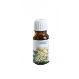MedikoMed Clove essential oil, 10ml