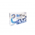Magvit PLUS - food supplement, 42 tablets